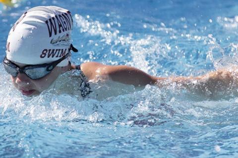 Article Image Alt Text