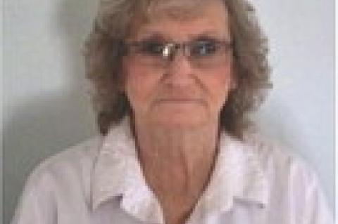 Article Image Alt Text