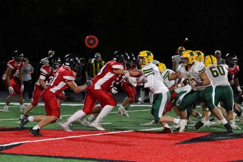 Article Image Alt Text