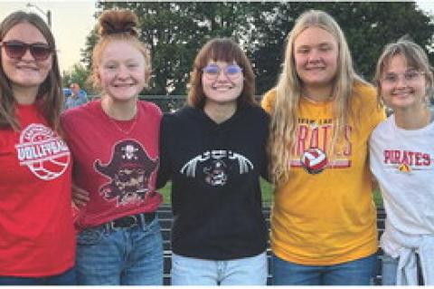 Article Image Alt Text