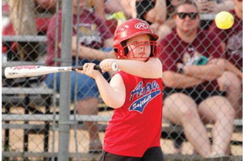 Article Image Alt Text