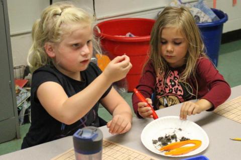 FIRST GRADERS PERFORM OWL EXPERIMENTS