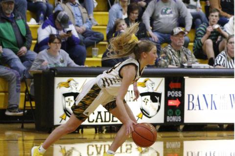 Article Image Alt Text