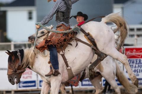 Article Image Alt Text