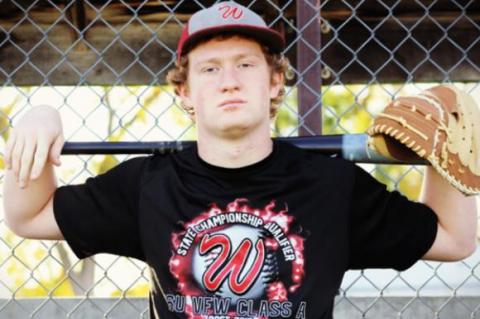 Article Image Alt Text