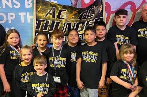 Article Image Alt Text