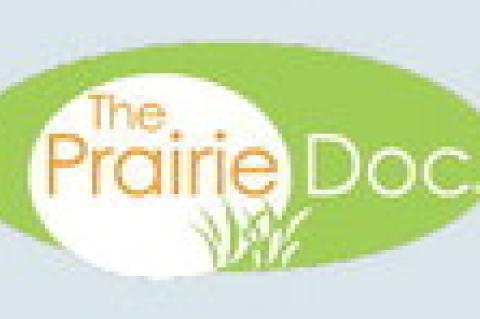 “GETTING THE MOST OUT OF YOUR HEALTHCARE”