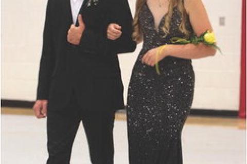 Article Image Alt Text