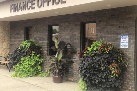 Article Image Alt Text