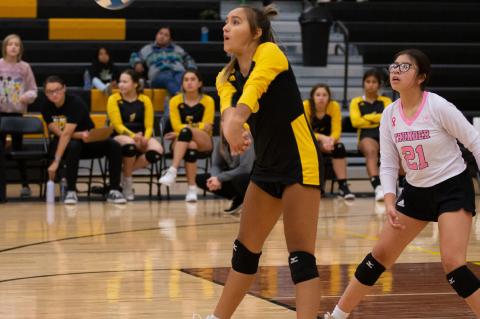 AC/DC VOLLEYBALL RESULTS