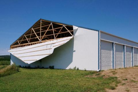 Article Image Alt Text