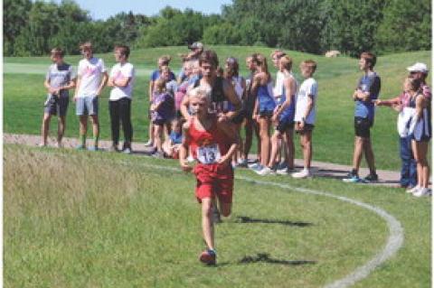 Article Image Alt Text