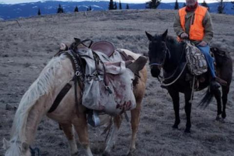 PATIENCE OR LUCK? MAYBE A LITTLE OF BOTH