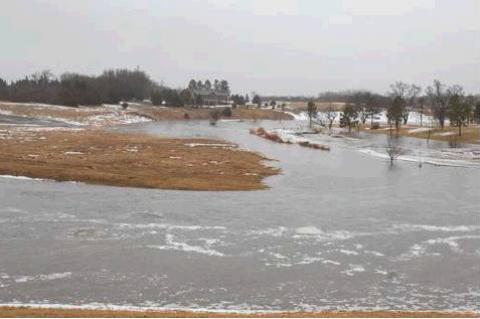 Article Image Alt Text