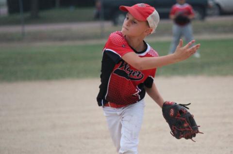 Article Image Alt Text