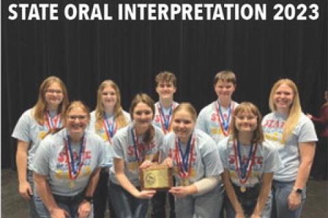 Article Image Alt Text