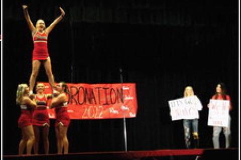 Article Image Alt Text