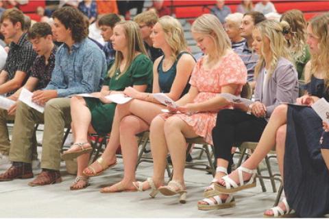 Article Image Alt Text