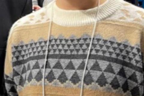 Article Image Alt Text