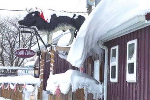 Article Image Alt Text