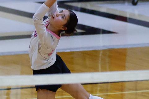 Article Image Alt Text