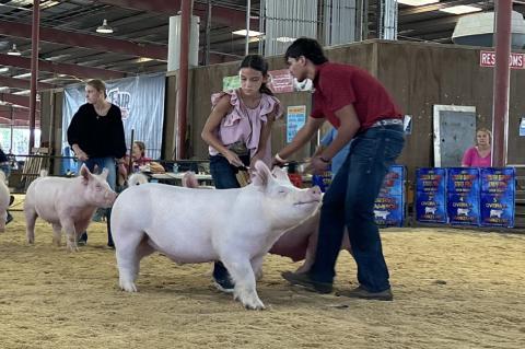 Article Image Alt Text