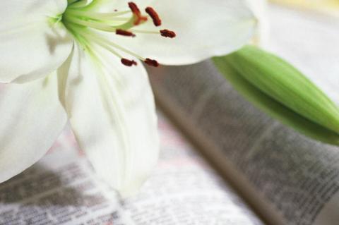 “A Trip to the Lost and Found”