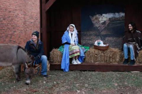 Article Image Alt Text