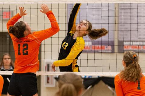 AC/DC DEFEATS SCOTLAND