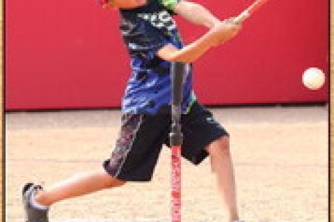 Article Image Alt Text