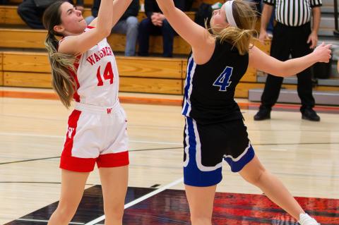 Article Image Alt Text