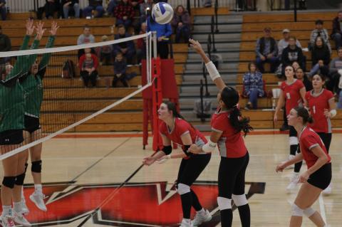 Article Image Alt Text