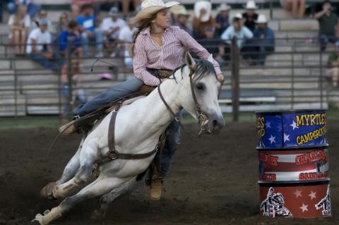 Article Image Alt Text