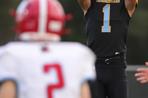 Jamian Medicine Horn