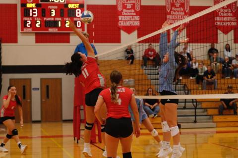 Article Image Alt Text