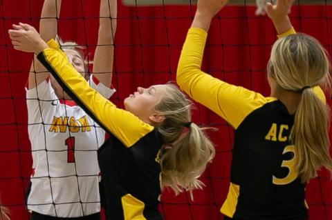 Article Image Alt Text