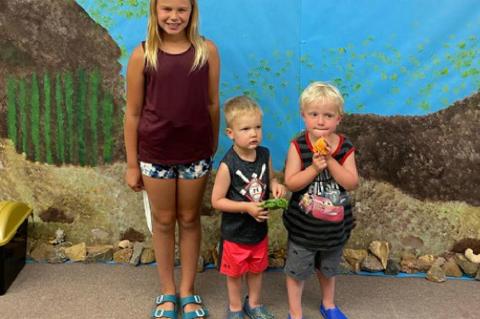 Article Image Alt Text