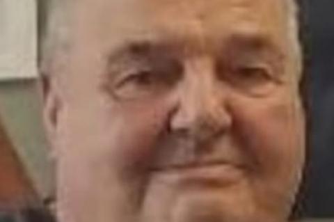 Article Image Alt Text