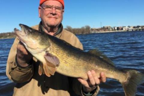 Article Image Alt Text