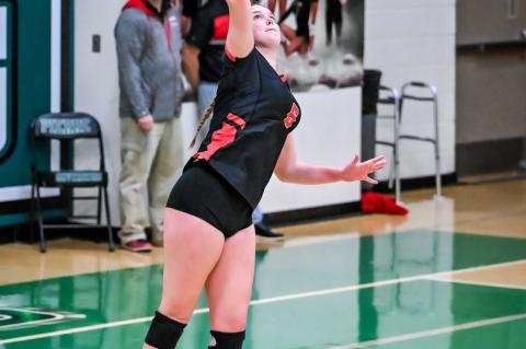 Article Image Alt Text