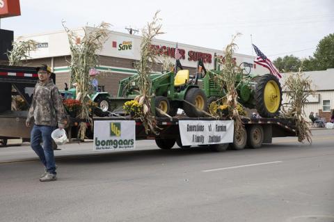 Article Image Alt Text