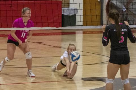 Article Image Alt Text