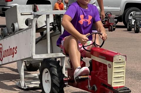 Article Image Alt Text