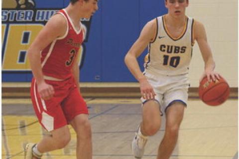 Article Image Alt Text