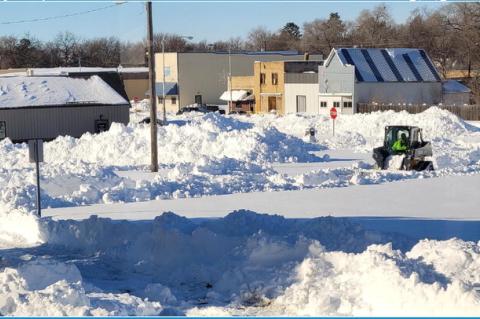 Article Image Alt Text