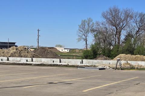 Article Image Alt Text