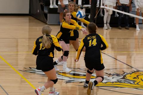 Article Image Alt Text