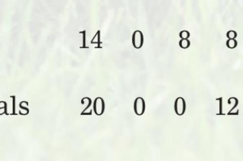 Article Image Alt Text