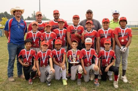 Article Image Alt Text