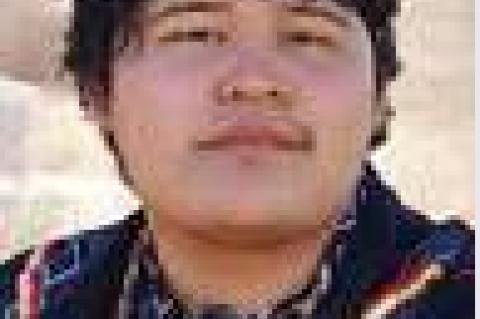 Article Image Alt Text